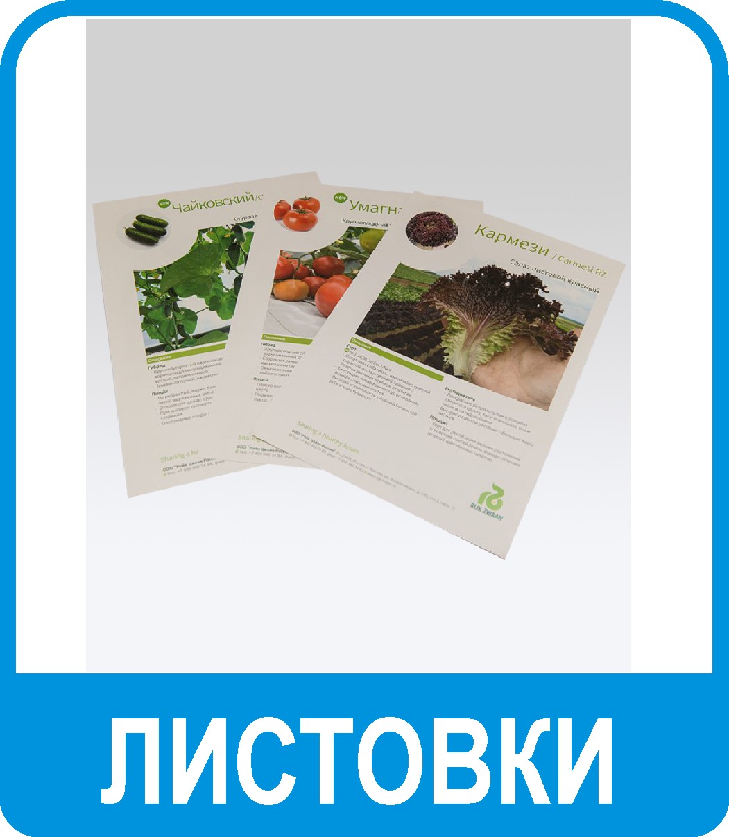 печать листовок